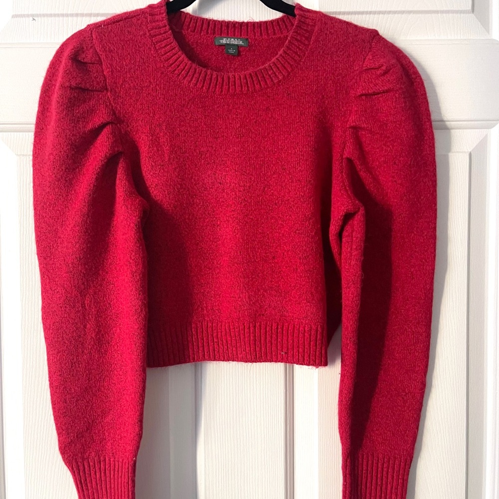 Red cropped sweater